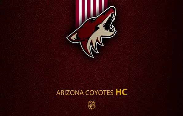 NHL Arizona Coyotes - Logo 21 Wall Poster : : Sports