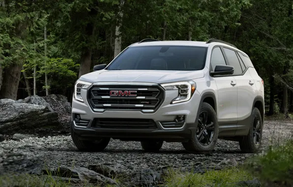 Picture white, forest, trees, nature, gmc, terrain, 2022, at4
