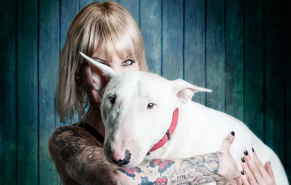 Girl, background, dog