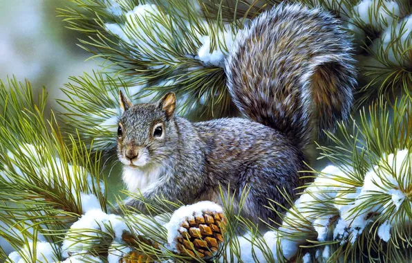 Picture winter, snow, needles, branches, squirrel, herringbone
