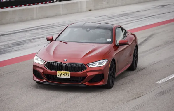 Picture asphalt, coupe, BMW, track, 2018, 8-Series, 2019, dark orange