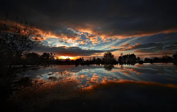 Picture landscape, night, nature, lake