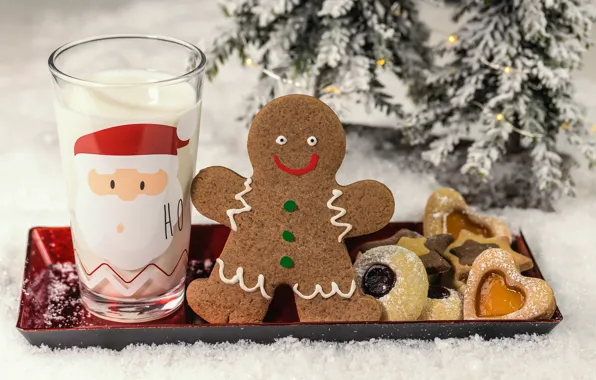 Winter, frost, snow, glass, smile, milk, cookies, Christmas