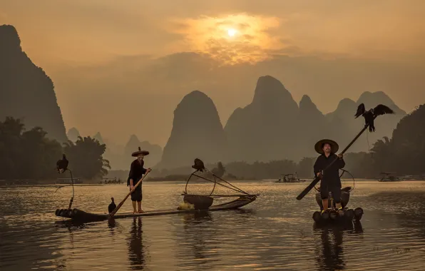 Bird, boat, fisherman, China, cormorant, Guangxi