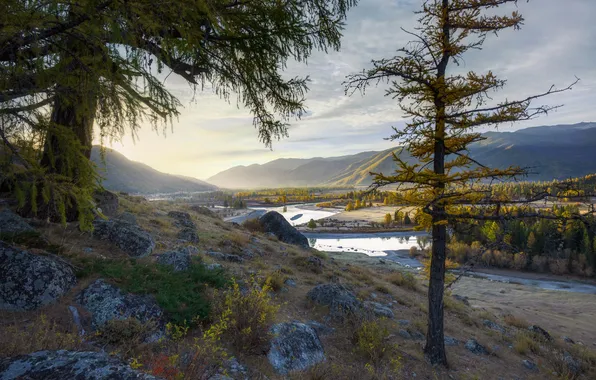 Trees, river, horizon, boulders, Alexey Kretov, On an autumn morning