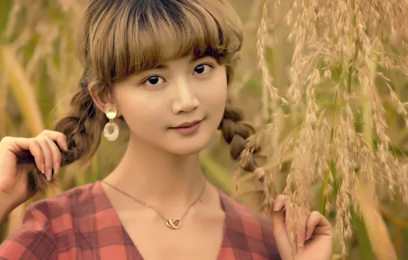 Grass, girl, decoration, nature, earrings, pendant, braids, brown hair