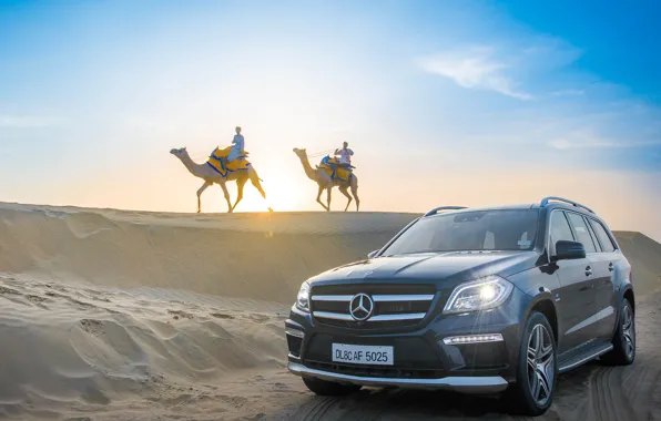 Mercedes-Benz, barkhan, camel, GL63 AMG