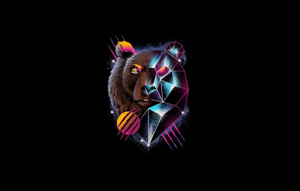 Minimalism, Bear, Style, Bear, Background, Face, Art, Art