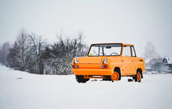 Microcar, Helen Keller, SMZ, SMZ с3д