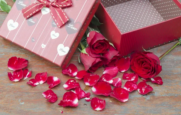 Flowers, gift, roses, pink, flowers, romantic, gift, roses