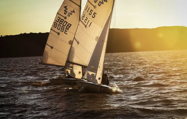 Sea, coast, sport, boats, morning, sails, training