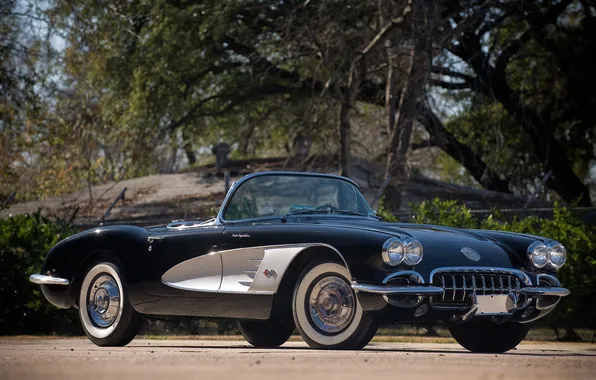 Trees, Chevrolet, 1960, sports car, corvette, Chevrolet, classic, the front