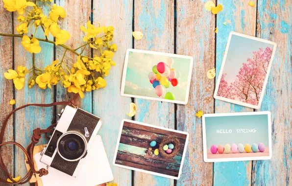 Picture flowers, photo, eggs, spring, camera, colorful, Easter, wood