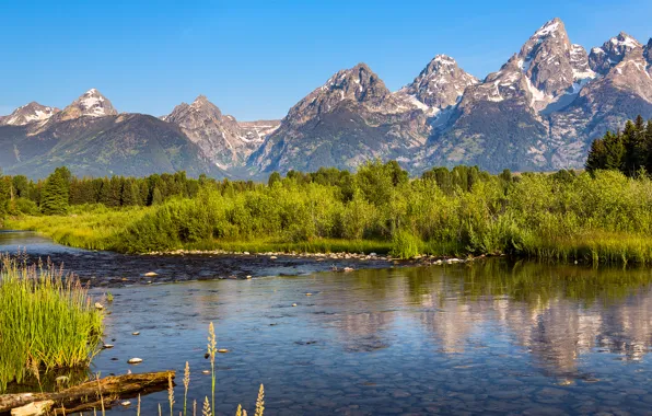 The sky, trees, mountains, lake, reflection, river, spruce, USA