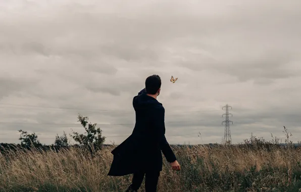Field, clouds, butterfly, guy, power lines, Bird Man