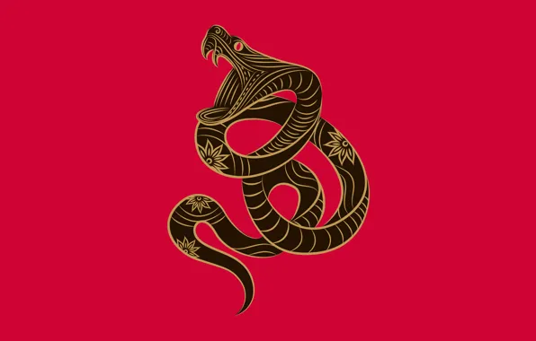 Snake, zodiac, Zune