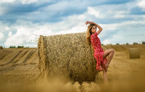 Picture field, pose, model, bales, straw, figure, bokeh, dress