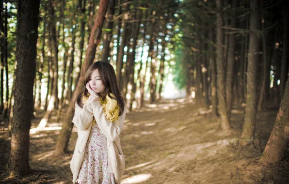 Picture forest, girl, Asian