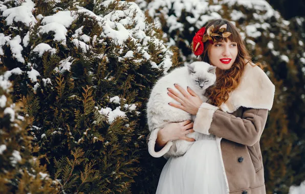 Winter, cat, girl, snow, the bushes