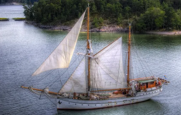 Forest, river, photo, ship, sailboat