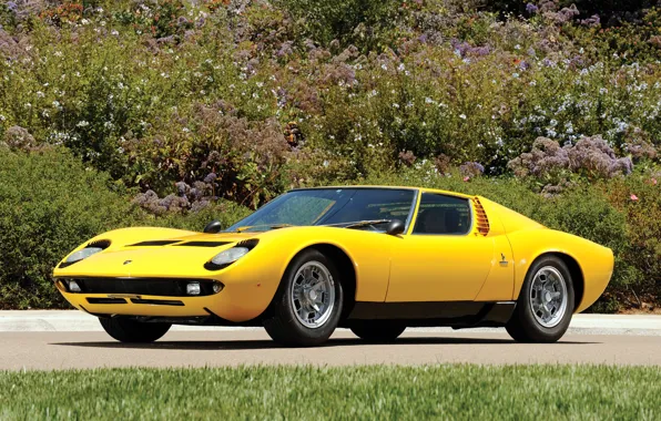 Auto, Lamborghini, 1969, yellow, classic, legend, Miura P400 S
