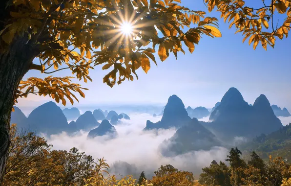 Picture leaves, the sun, clouds, mountains, China, Guilin