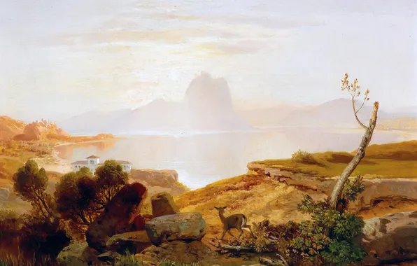 Lake, Trees, Picture, DOE, German artist, Albert August Zimmermann, Albert August Zimmerman, The part on …