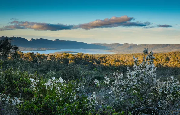 Picture landscape, mountains, Australia