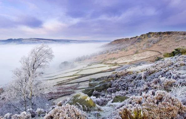 Picture winter, frost, fog, hills, England, slope, Derbyshire