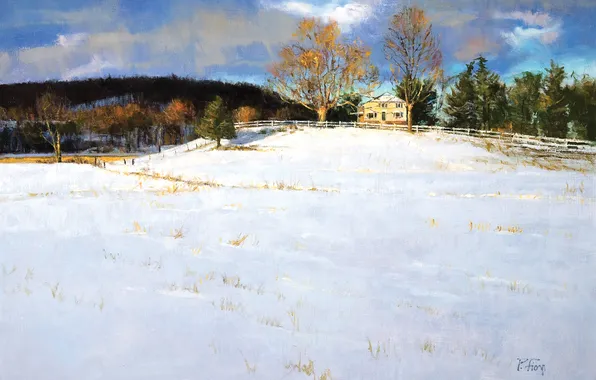 Picture winter, forest, snow, trees, landscape, the fence, home, spruce