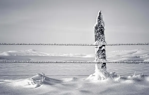 Snow, the fence, Winter, column
