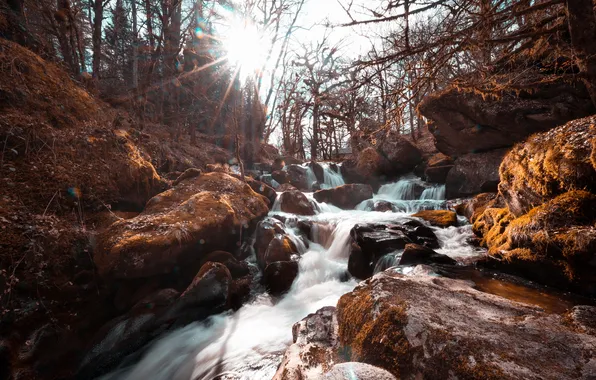 Nature, river, stones