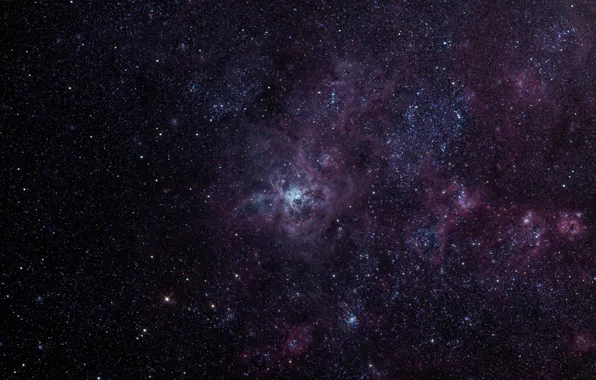 Gold Fish, emission nebula, Tarantula, in the constellation