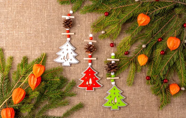 Branches, Christmas, New year, needles, bumps, burlap, physalis, Christmas decorations