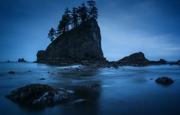 Picture trees, night, rocks, shore, Washington, Olympic National Park