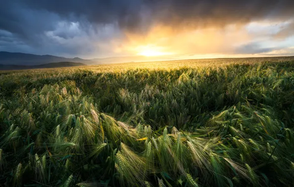 Field, the sky, the sun, clouds, light, sunset, dawn, hills