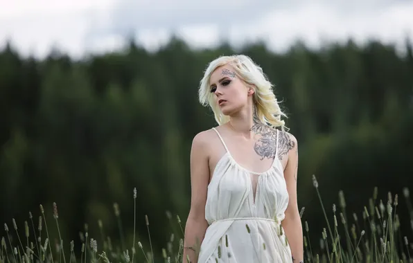 Picture dress, tattoo, neckline, Roosa