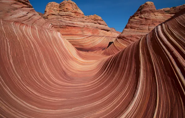 Picture rocks, Coyote Buttes, AZ, USA