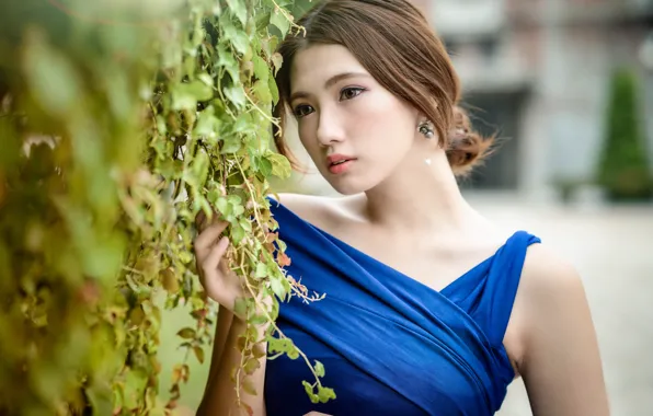 Sponge, Oriental girl, chingcho Chang