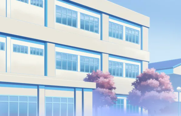 The building, Sakura, flowering