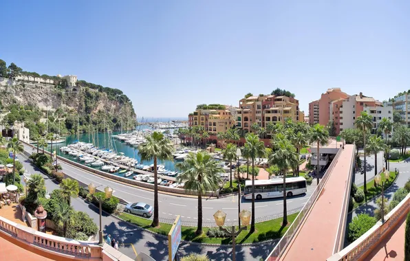 Road, palm trees, street, Marina, yachts, bus, Monaco, Monte Carlo