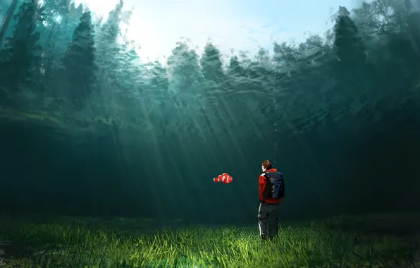 Picture fish, figure, water, by Denis Loebner, Crystalclear water, Denis Loebner, fish, clown fish