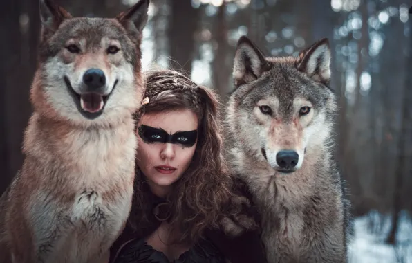 Picture forest, girl, wolves
