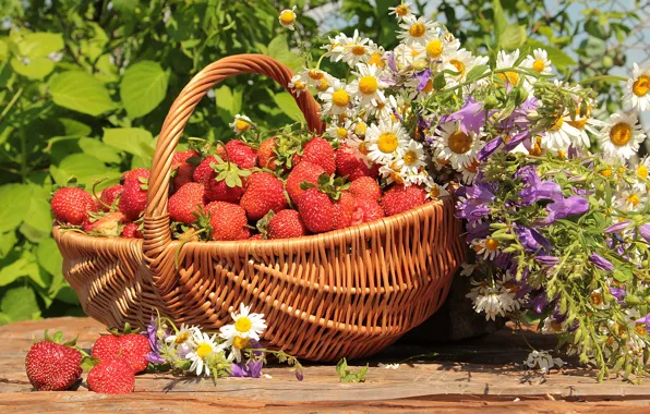 Greens, summer, the sun, flowers, basket, chamomile, strawberry, berry
