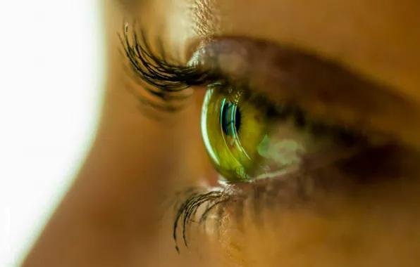 Girl, macro, eyes, profile, the pupil. eyelashes