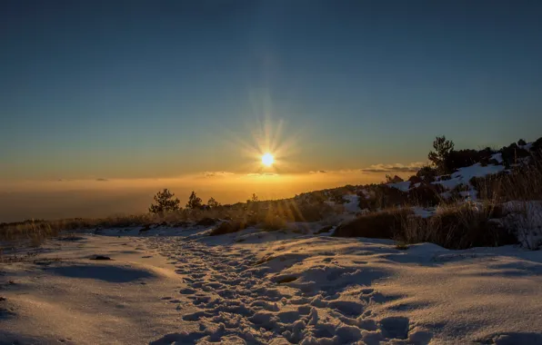 Winter, field, the sun, rays, snow, traces