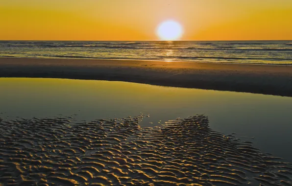 Picture sea, nature, shore, morning