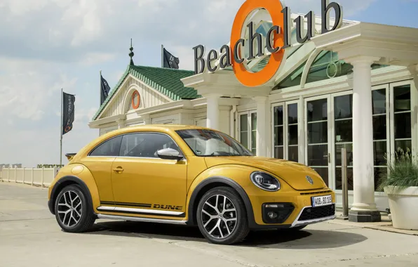Beetle, Volkswagen, Volkswagen, Beetle