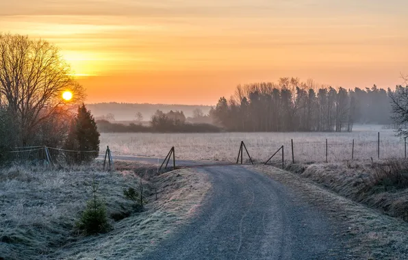 Road, landscape, sunset