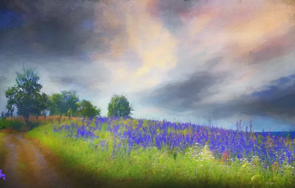 Germany, beautiful summer meadows, Hesse, Presberg